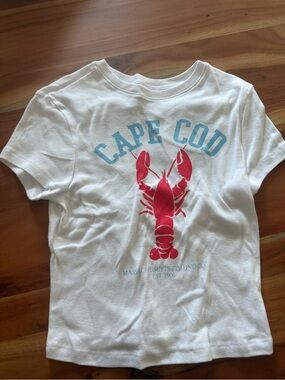 No Boundaries White Tee with Red Lobster and Light Blue Cape Cod Text